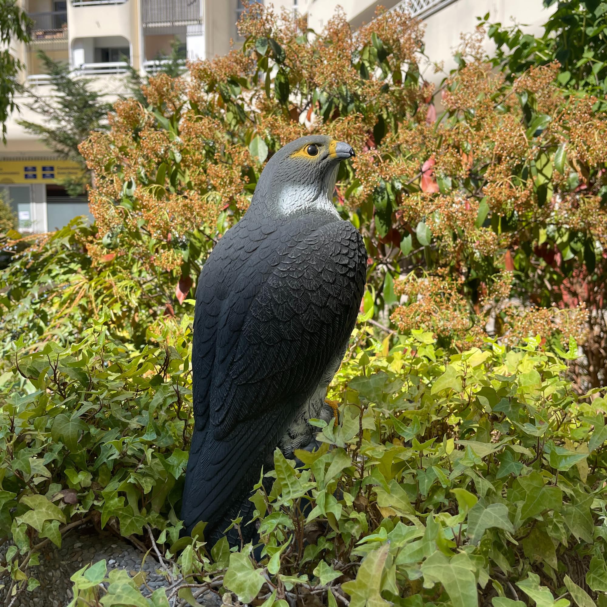 Faucon Pèlerin - Épouvantail Ultraréaliste pour Protéger Jardins et Balcons