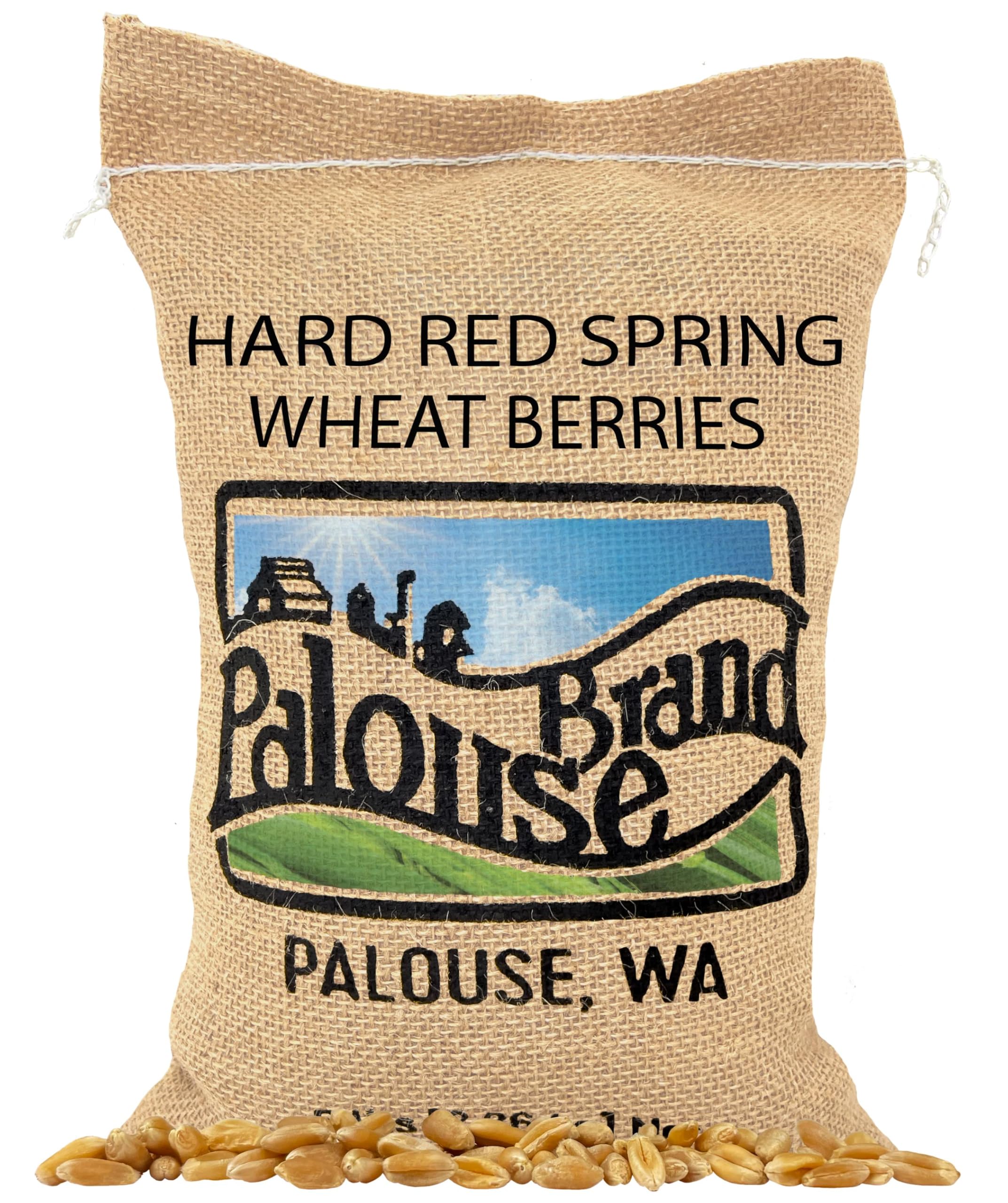 Palouse BrandHard Red Spring Wheat Berries | 5 LBS | 100% Non-Irradiated | Certified Kosher Parve | USA Grown | Non-GMO Project Verified