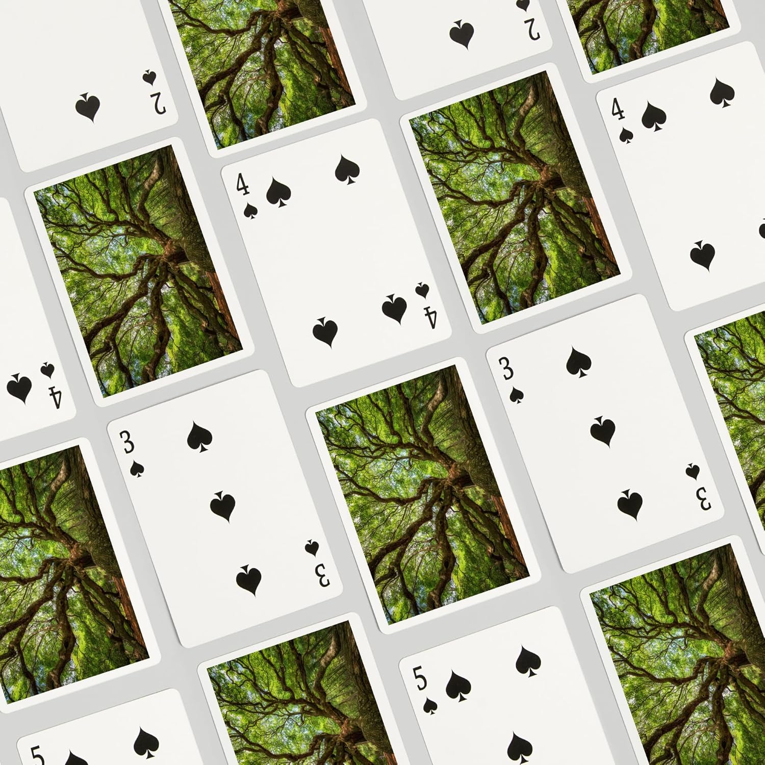 Lantern Press Charleston, South Carolina, Angel Oak Tree, Photography A-93040, 52 Playing Cards for Adults, Poker Size Card Deck