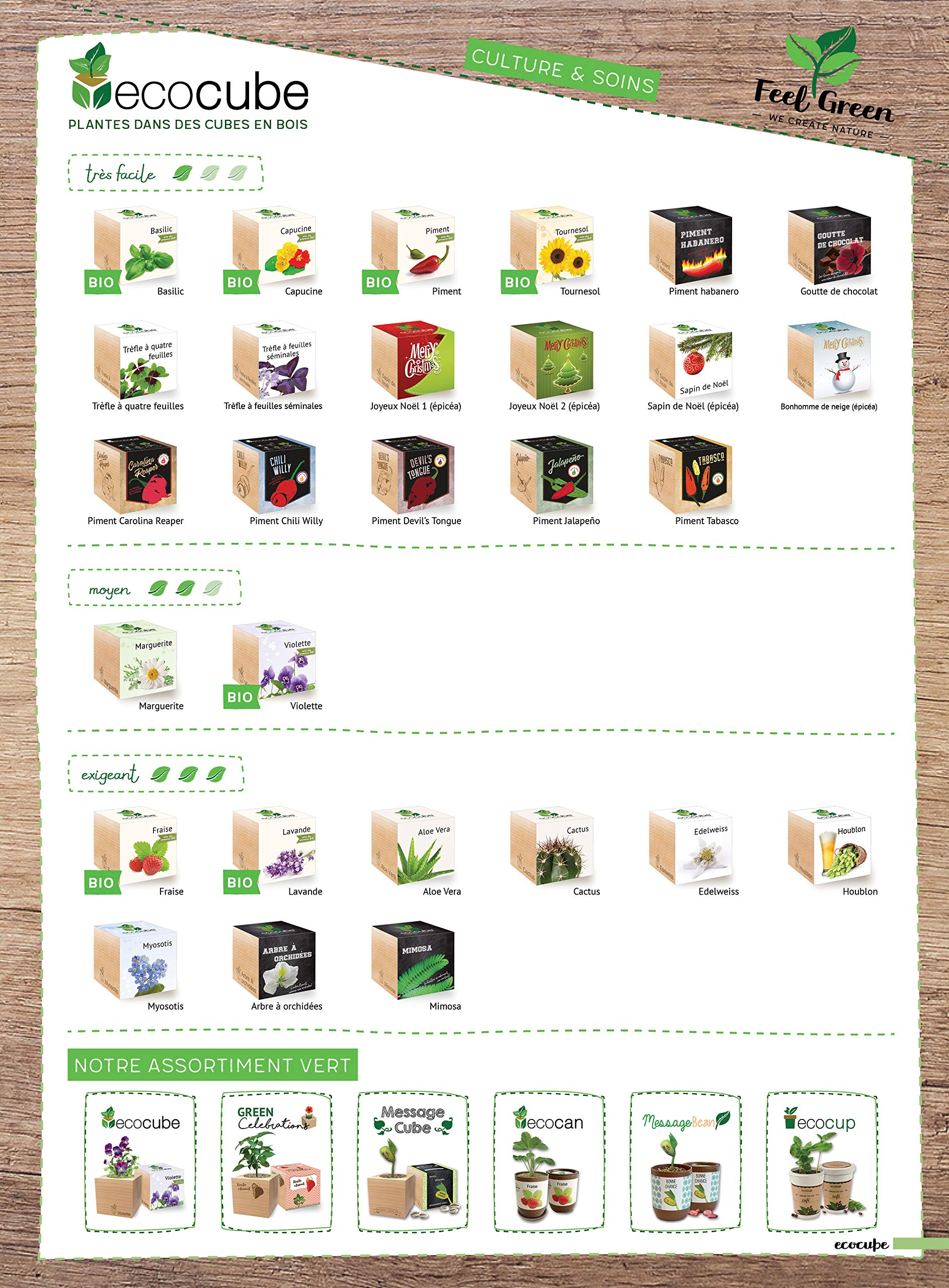 Ecocube Aloe Vera Exotics Grow Your Own Kit Sustainable Unusual |  Desertcart Aruba