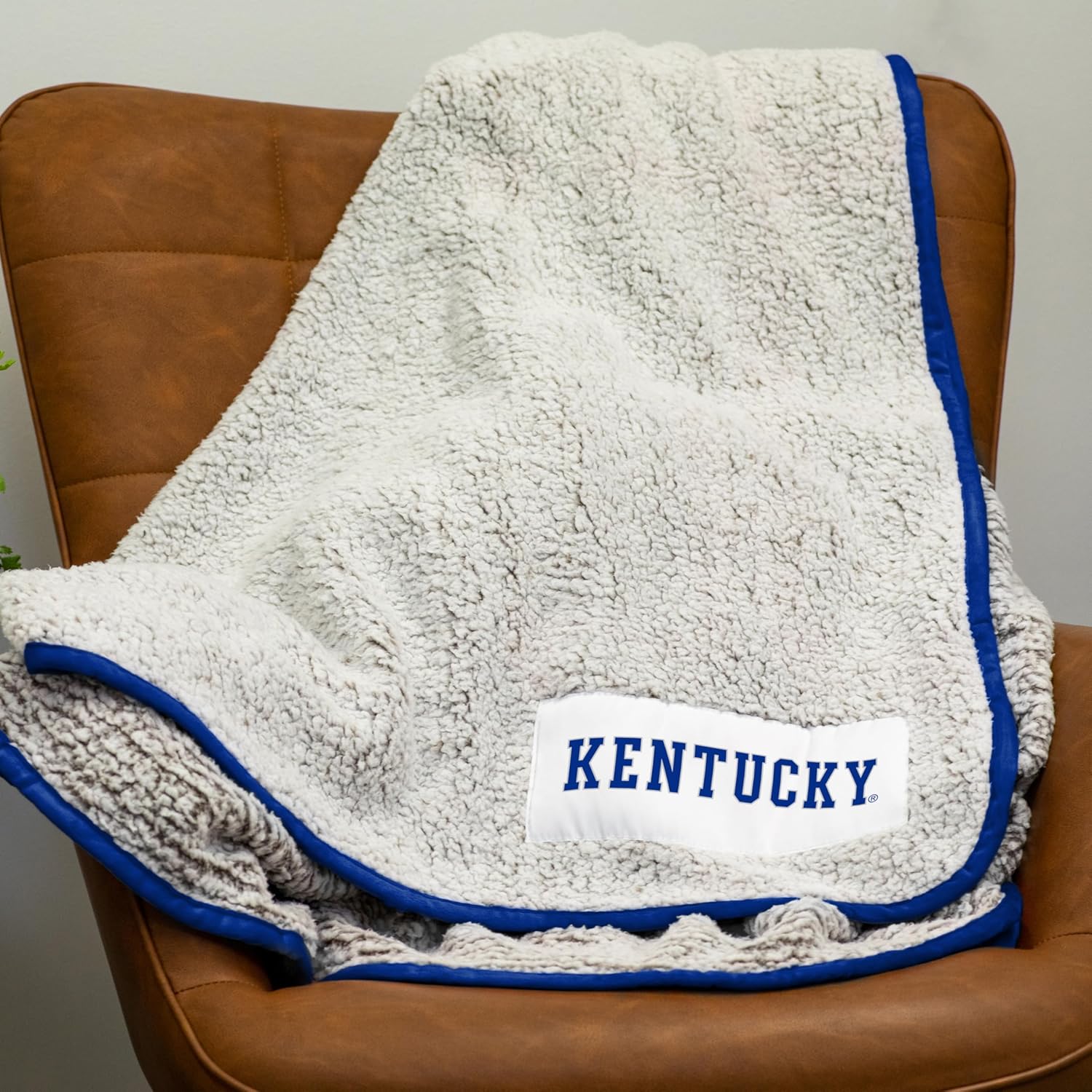 Logo Brands NCAA Frosty Fleece Blanket (50" x 60") – Soft & Warm Sherpa Material with Team Logo, Team Color Trim, Great Gift for Alumni & Students