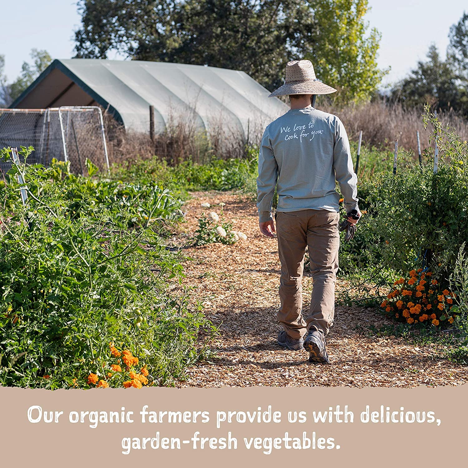 Amy's Soup, Vegan, Gluten Free, Organic Lentil Vegetable (Potatoes, Carrots and Spinach) Light in Sodium, 14.5 oz (Pack of 6)