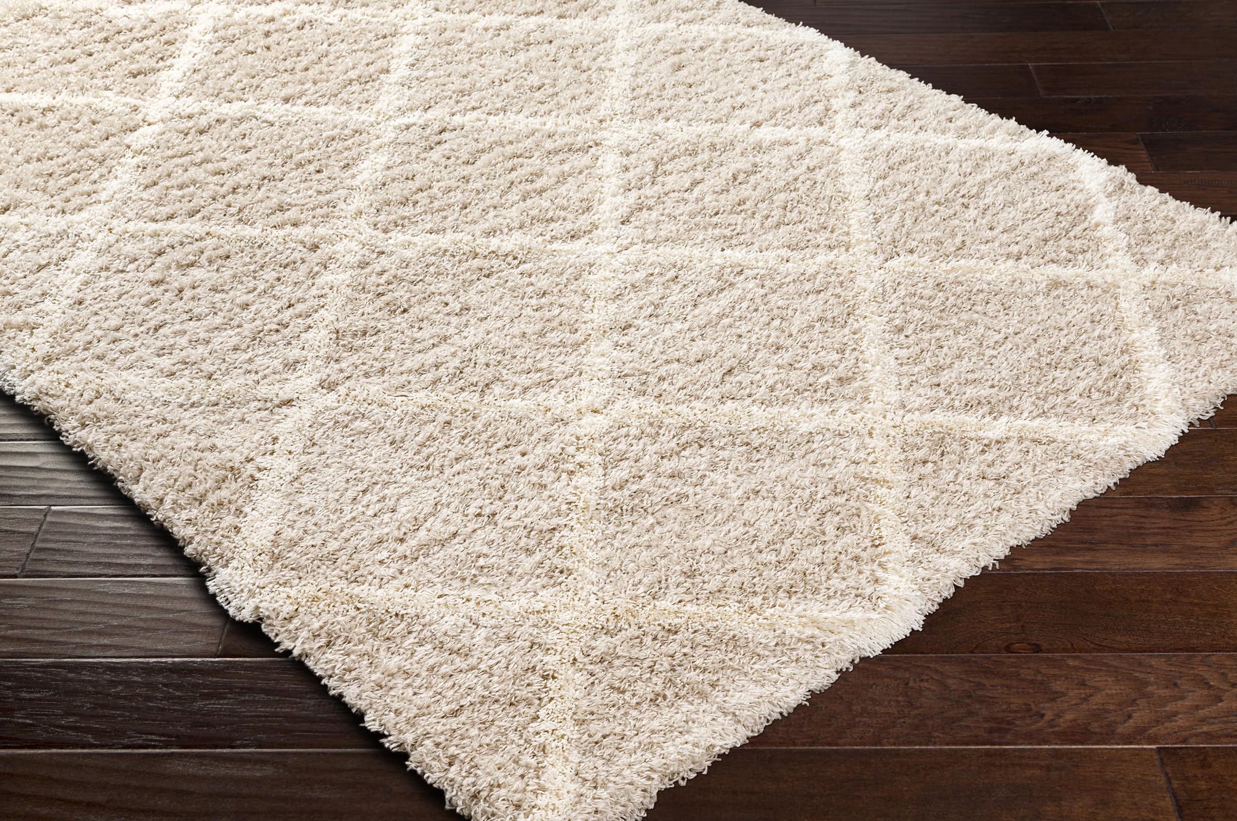 Livabliss Trakai Shaggy Berbere - Salon, Salle à Manger, Chambre Adulte et Ado, Cuisine - Poil Long Moelleux et Doux, Beige Motif Berbère, Carpette Chambre 160x220 cm - Beige Clair, Blanc
