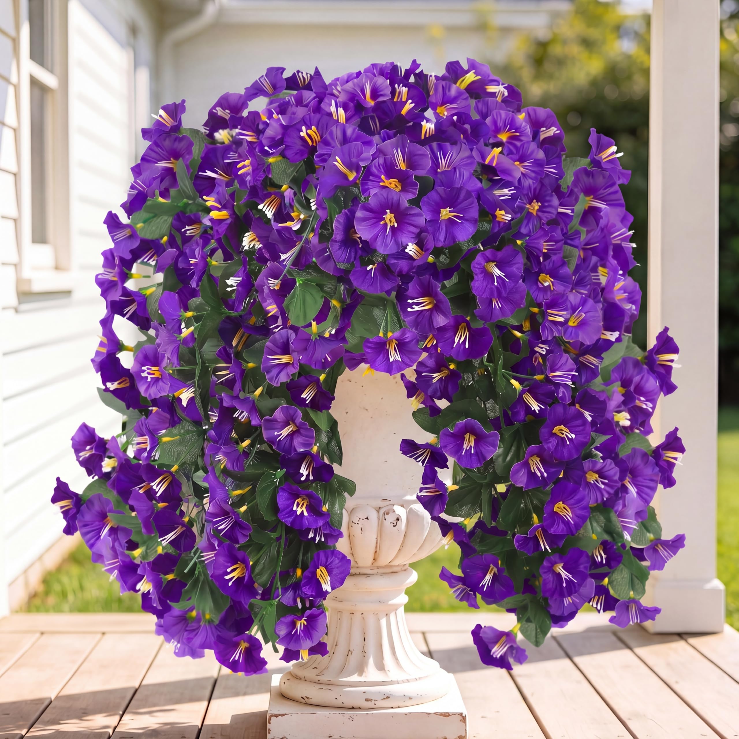 Sggvecsy purple morning glory trailing vines