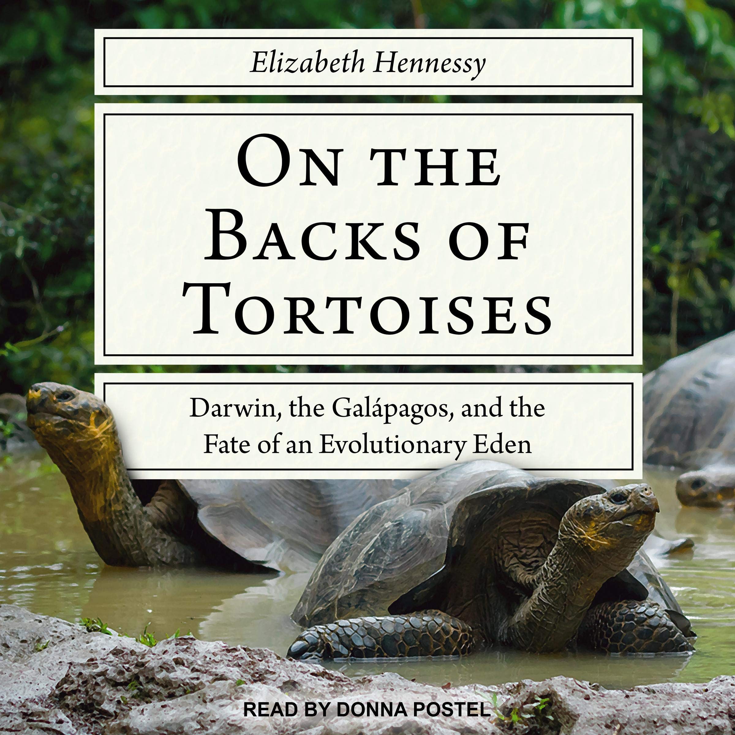 Cover art for On the Backs of Tortoises
