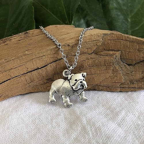 Miniatura 6 de English Bulldog Necklace 18" Adjustable Stainless Steel Chain - Bull Dog Sympathy Gift for Dog Mom