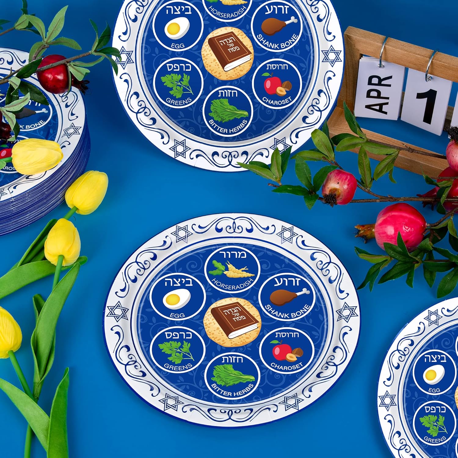 50 Pieces Seder Plates for Passover, 9 Inch Disposable Passover Seder