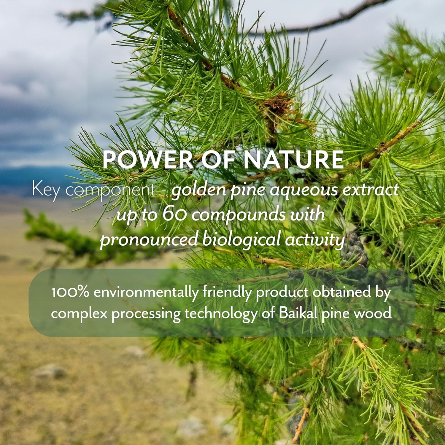 THE ACT Facial Toner for All Skin Types – Hydrating, Toning & Cleansing Toner for Face, All Types Skin, Pore Cleanser with Patented Pine Extract, Makeup Remover, Self & Skin Care Routine, 6.8 Fl Oz