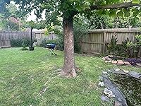 Review Image by Christopher E. Christopher E.