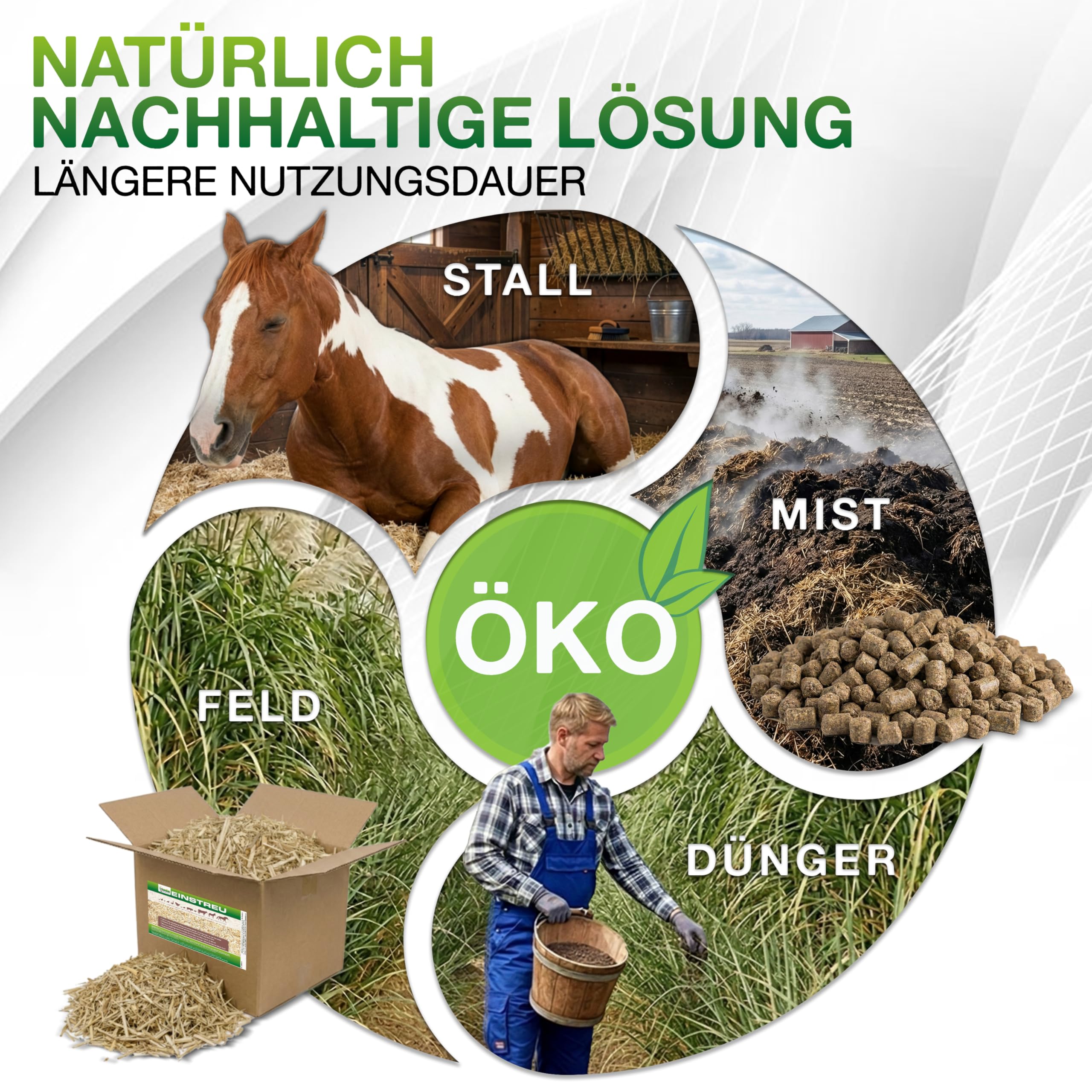 Jumbogras® Großtier- Pferdeeinstreu aus Miscanthus|Elefantengras|Chinagras-Häcksel, Streu statt Stroh, Holz, Sägespäne, Pellets in Box|Stall|Paddock Mist-frei (10 x 24 kg Vorratspack)