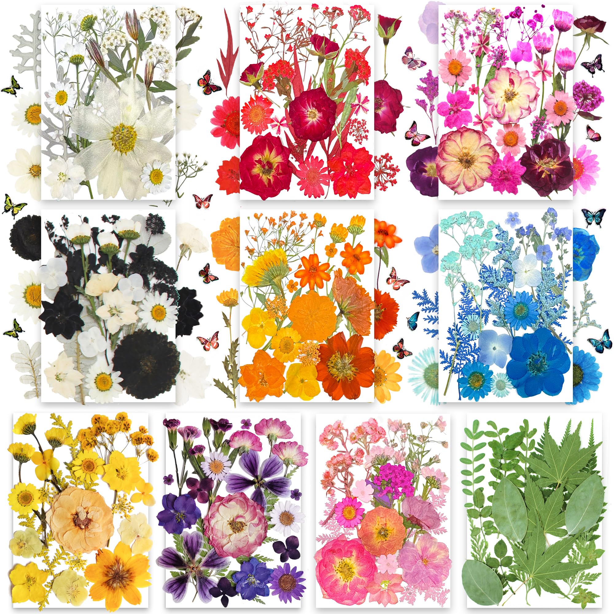 TrendCart 301Pcs Multi-Style Dried Pressed Flowers & Leaves - dried and preserved flora | Mubboo