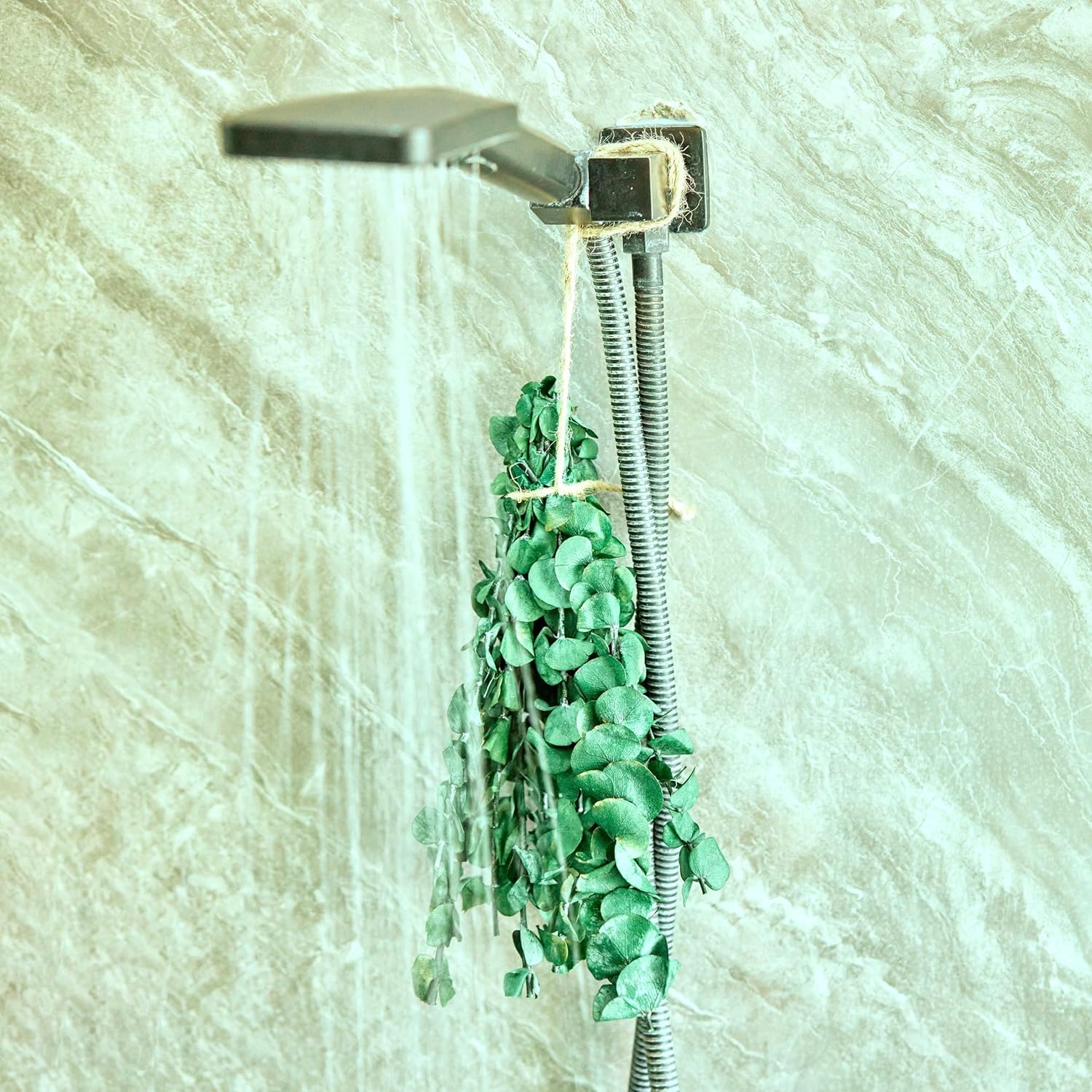 ZOMENT 12 pcs Small Dried Eucalyptus Stems 12inchs Real