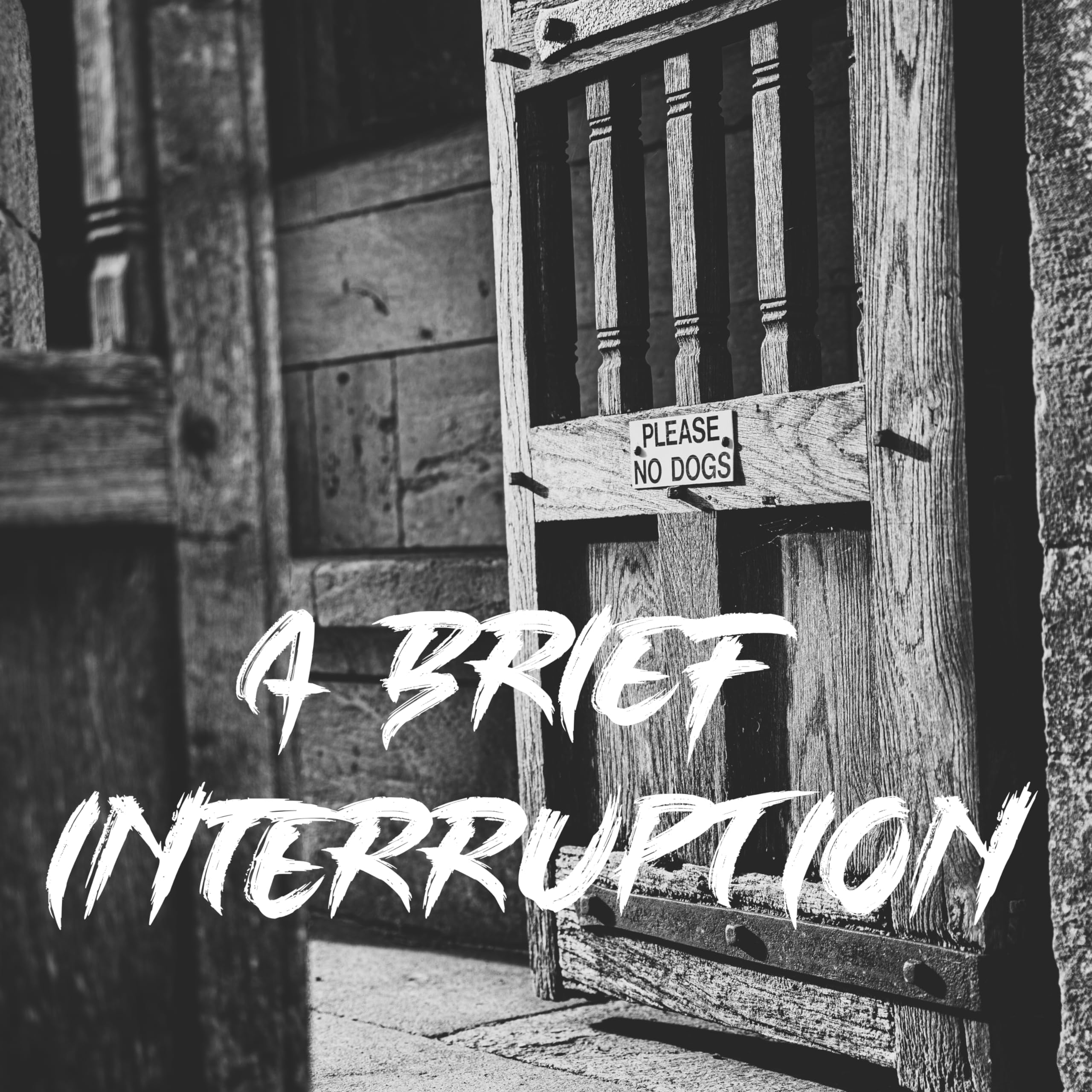 A Brief Interruption