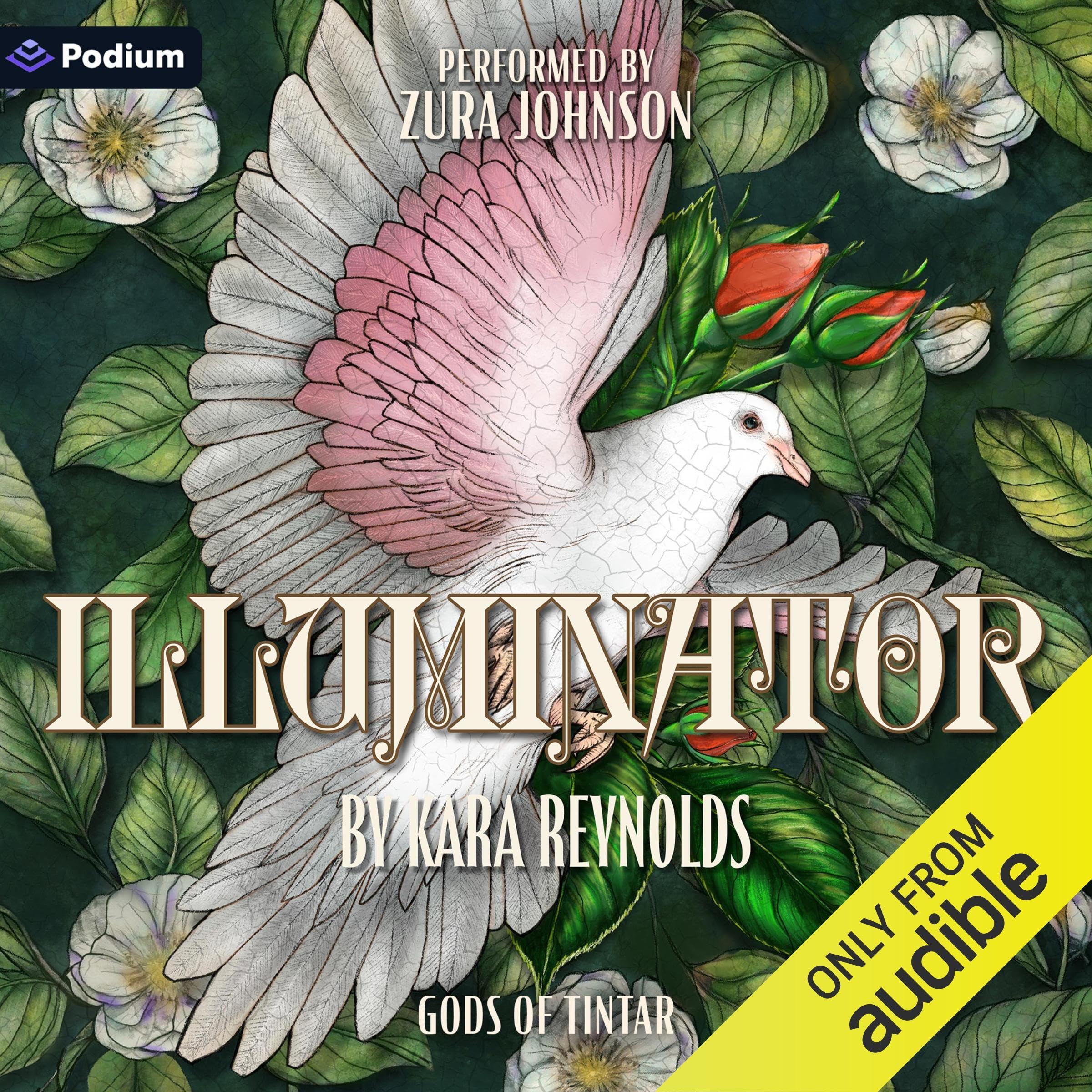 Cover art for Illuminator