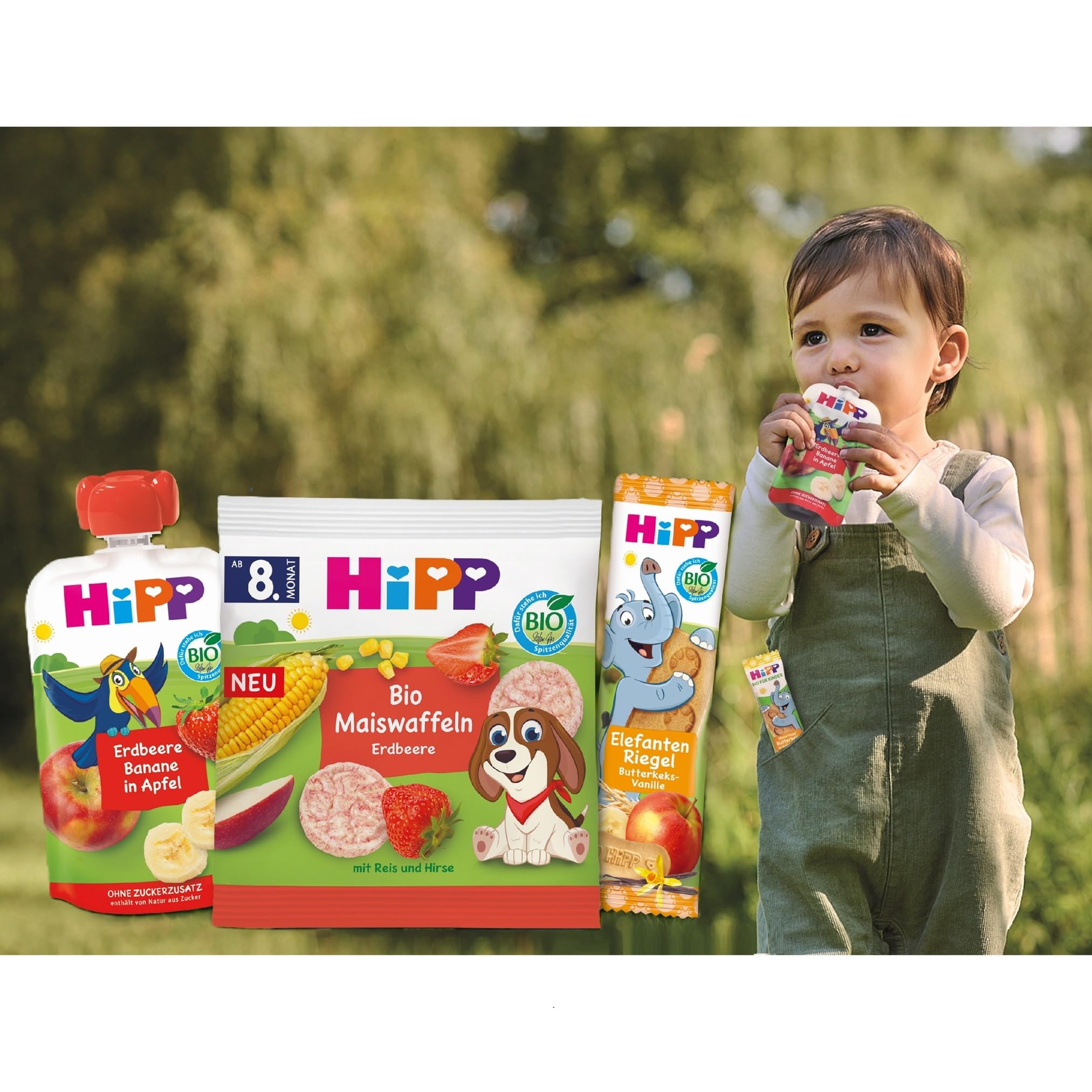 HiPP Schildkröte Hafer Riegel Erdbeere-Himbeere, (8er Pack mit je 5 x 20g), Süße nur aus Früchten, in bester Bio-Qualität