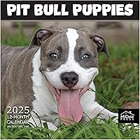 Vista 74 de MICASA PRESS Corgi Butts - Calendario de pared 2026 de 12 meses 12 x 24 pulgadas abierto Papel grueso y resistente Regalo de vacaciones