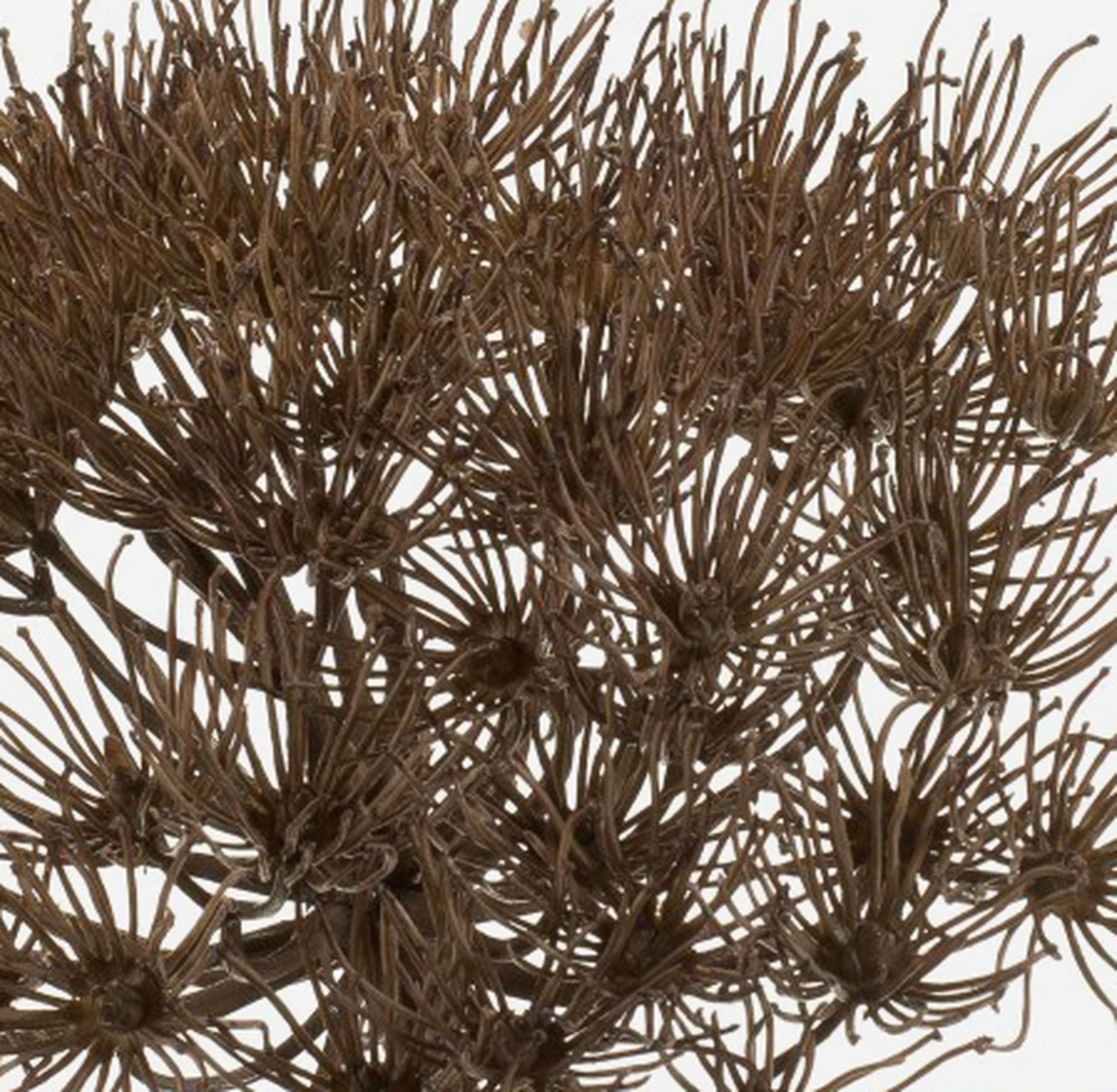 knstliche tierfelle Tierfell Imitat Meterware - Kunstfell Tierdrucke Stoff Meterware *Ab 50cm