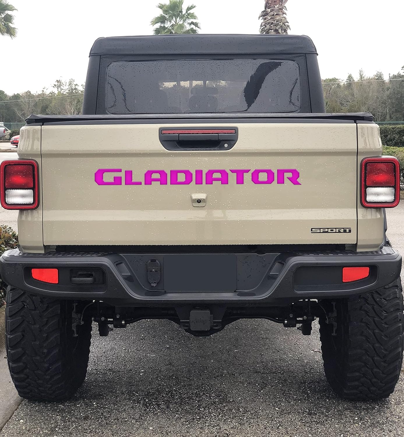 Tailgate Letter Replacement - Compatible with 2019-2026 Gladiator Truck - Black w/Red Outline - Chrome Finish - Domed Resin & Carbon Fiber - Easy Installation