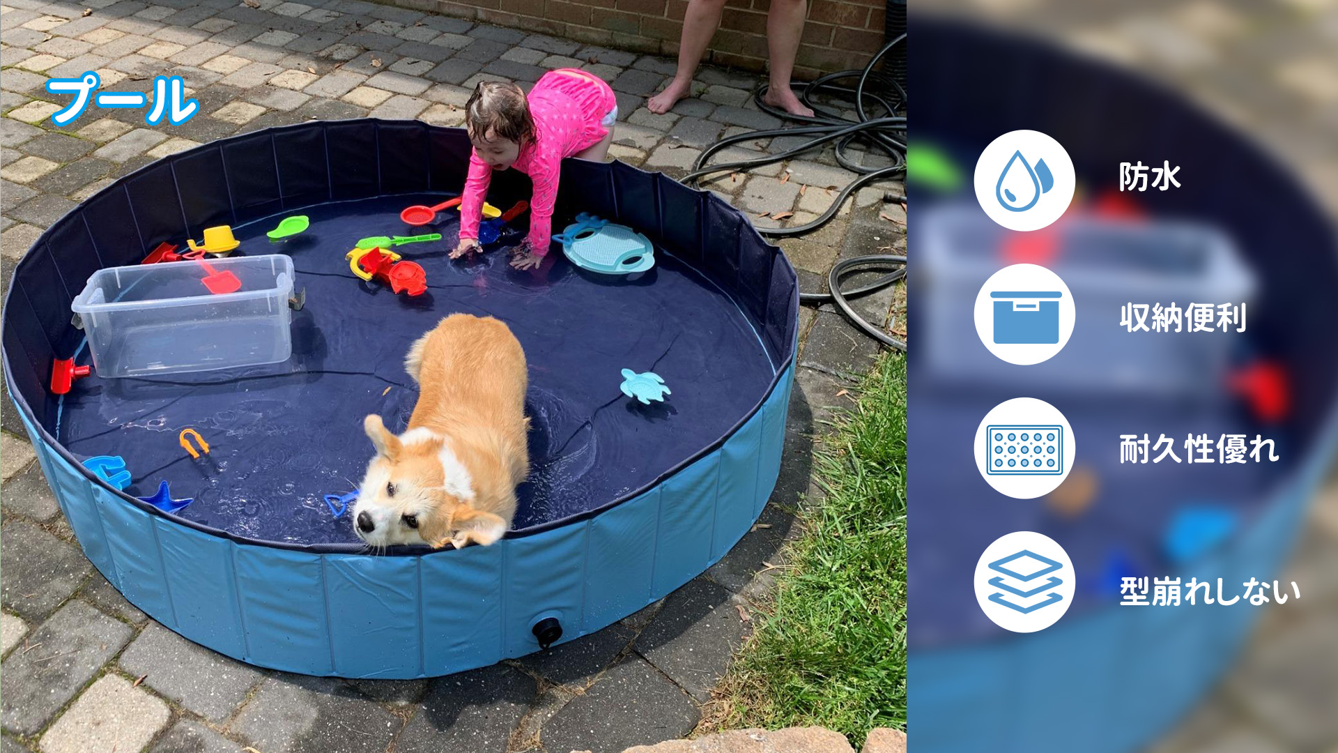 Mr Achort ペット用プール キッズプール ペット風呂 大型犬 キッズボールプール 中型犬 小型犬
