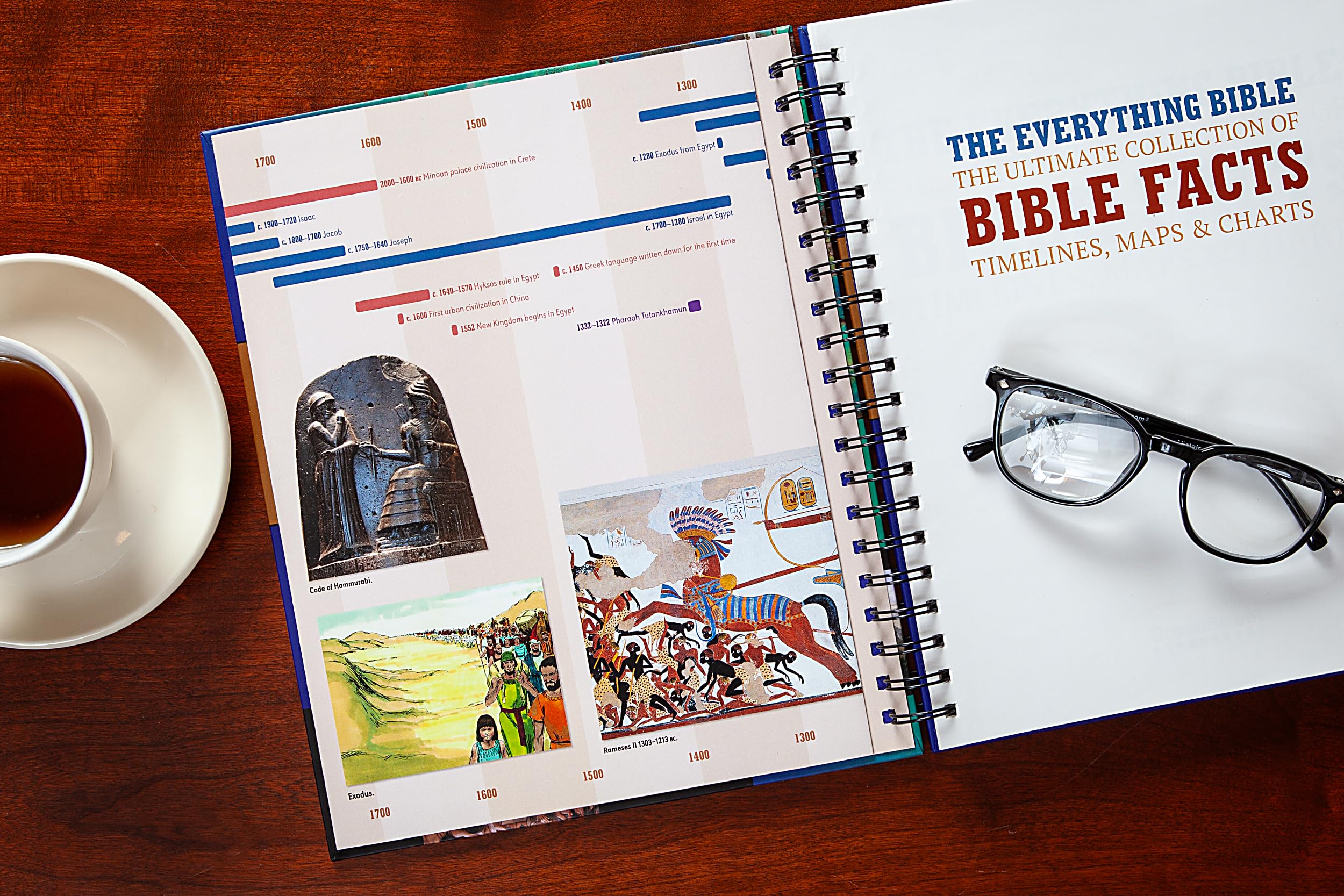 The Everything Bible: The Ultimate Collection of Bible Facts, Timeslines, Maps, and Charts