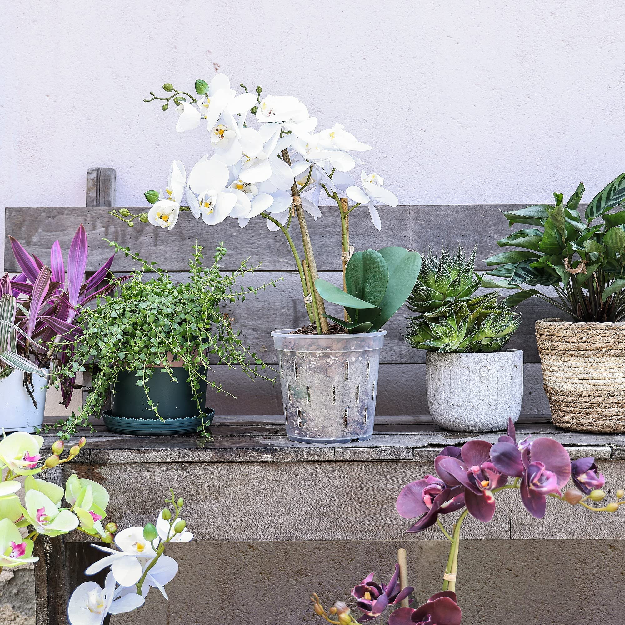 Clear Orchid Pots with Holes Plastic Plant Pots Clear Plastic Planter