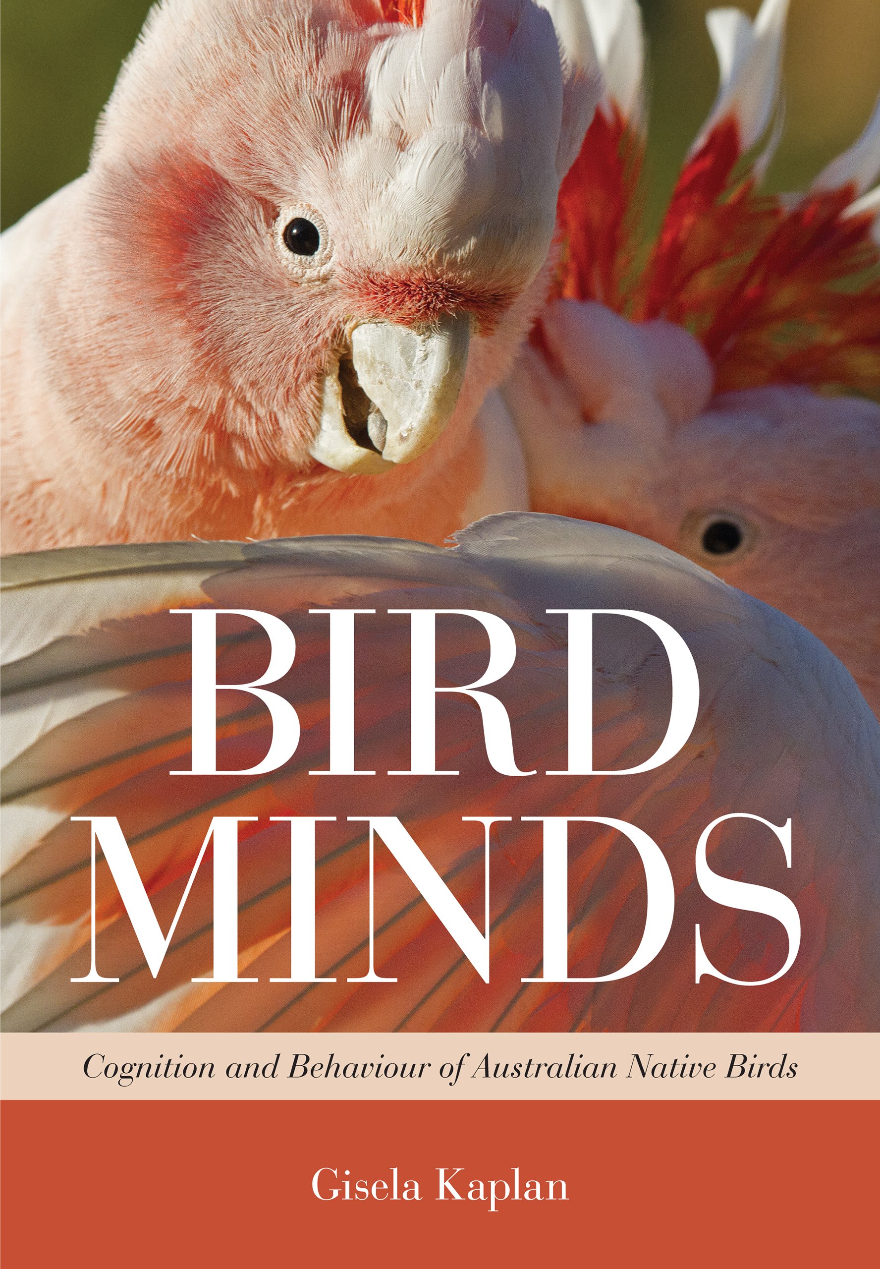 Bird Minds: Cognition and Behaviour of Australian Native Birds