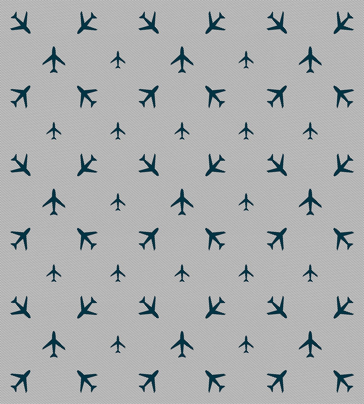 Ambesonne Airplane Duvet Cover Set, Diagonal Stripes Travel Silhouettes Vacation Aviation, Decorative 3 Piece Bedding Set with 2 Pillow Shams, Queen Size, Petrol Blue Black White