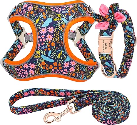 personalized dog harness