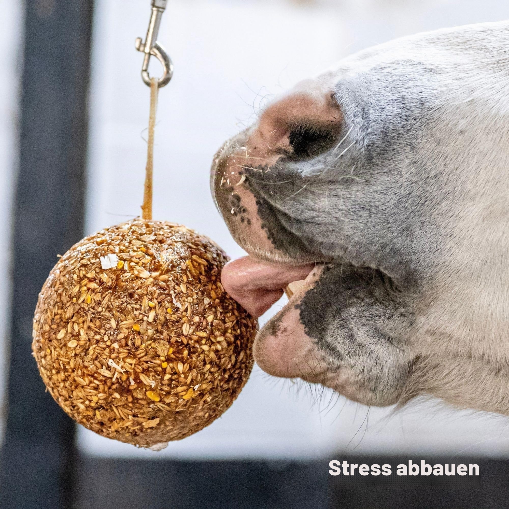 Likit Granola Stallball gemischte Beeren