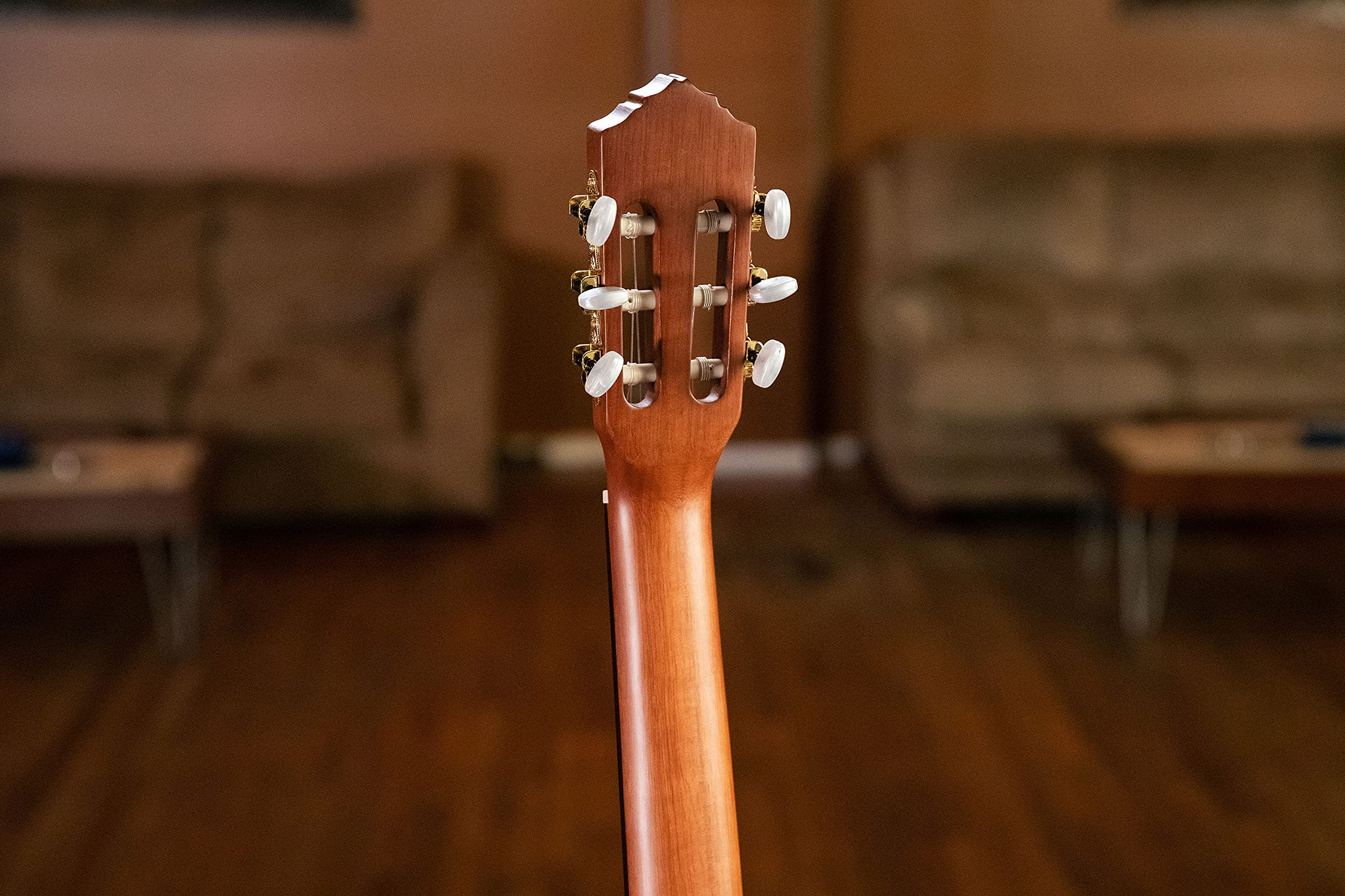 Ortega Guitars Family Series Pro Chitarra Acustica, 6 Corde, Finitura Semilucida, Catalpa
