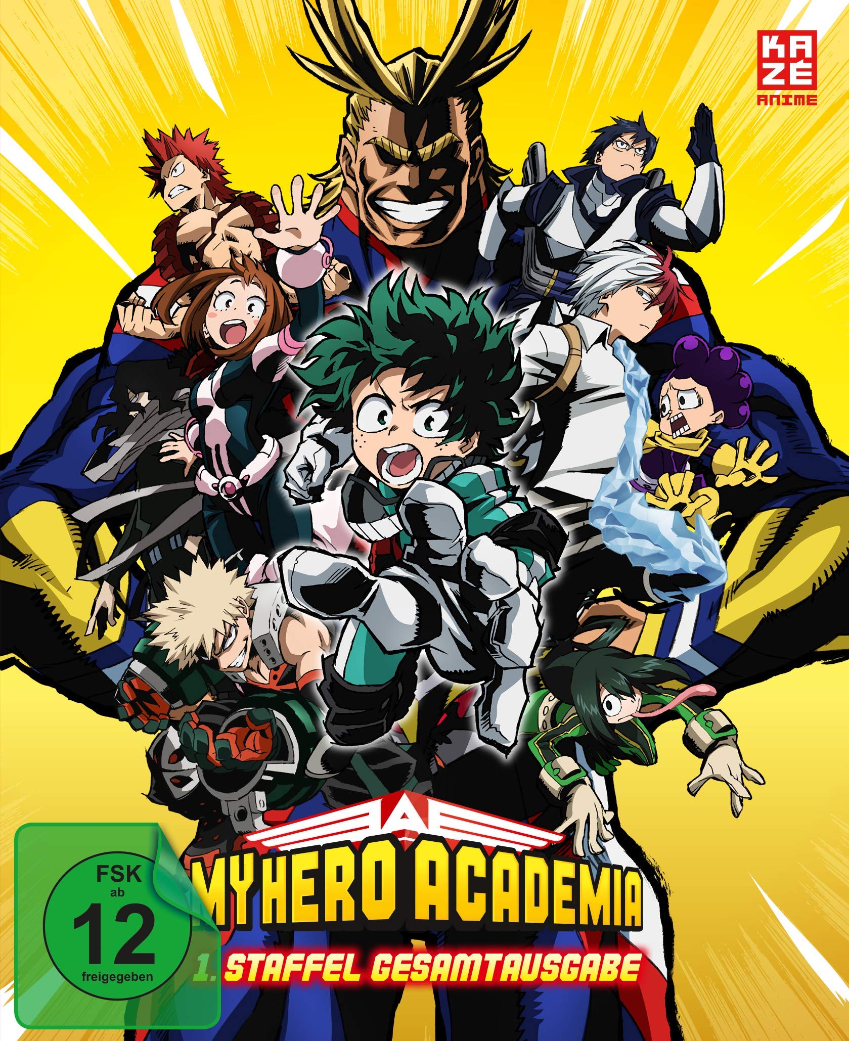 My Hero Academia - 1. Staffel - Gesamtausgabe - DVD Box (Deluxe Edition) [Alemania]