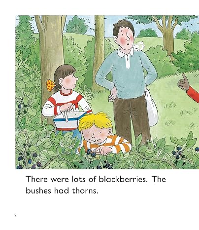 Oxford Reading Tree: Level 5: More Stories C: Pack of 6