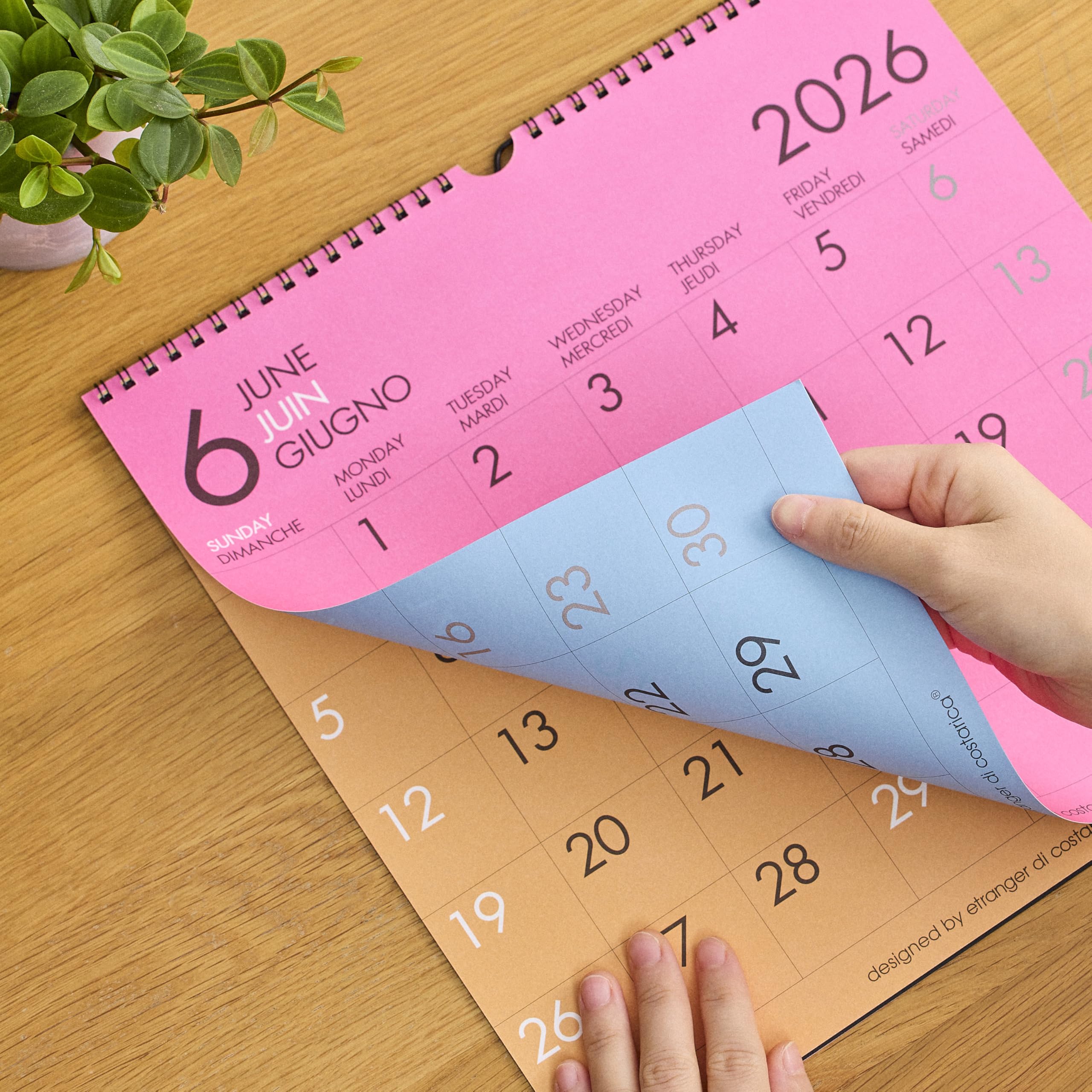 Amazon.co.jp: etranger di costarica 2026年 カレンダー 壁掛け LP