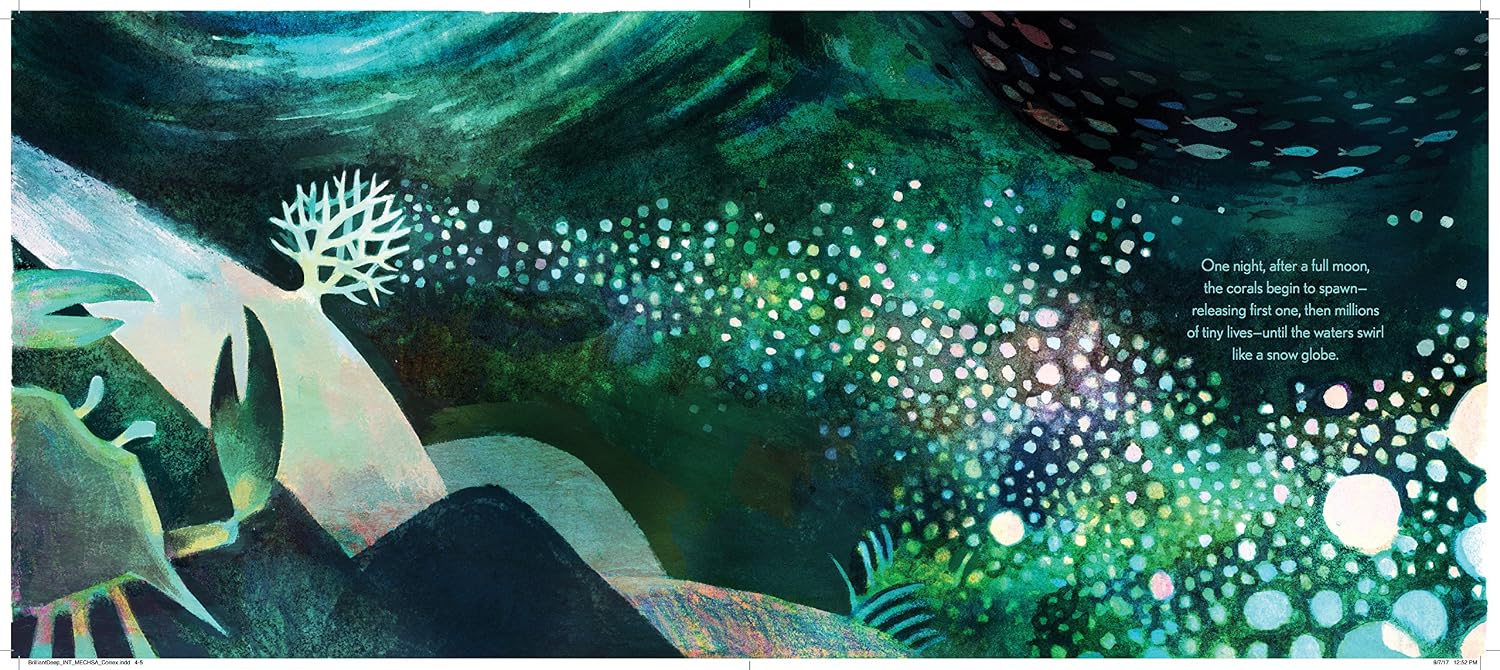 The Brilliant Deep: Rebuilding the World's Coral ReefsThe Story of Ken Nedimyer and the Coral Restoration Foundation
