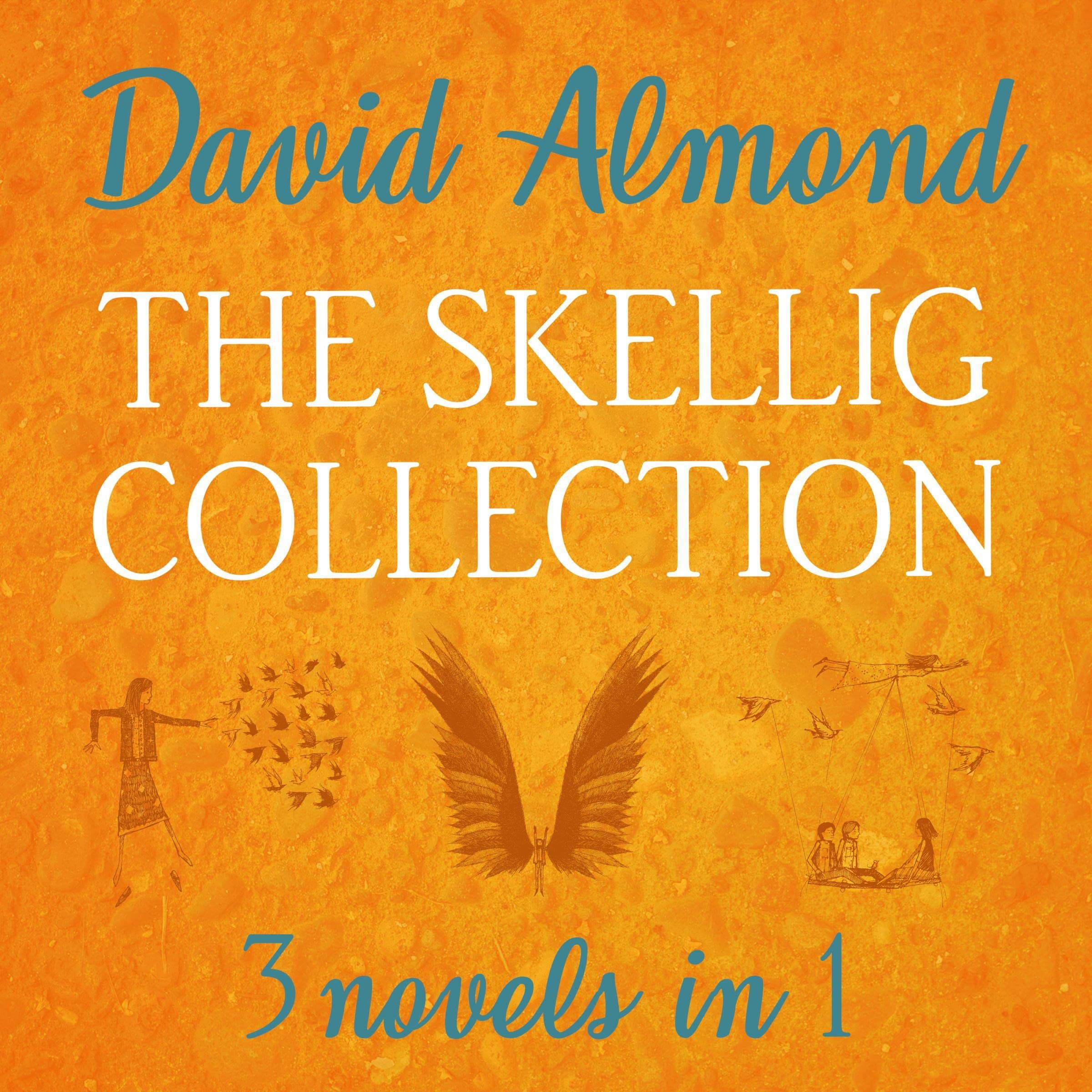 Cover art for The Skellig Collection