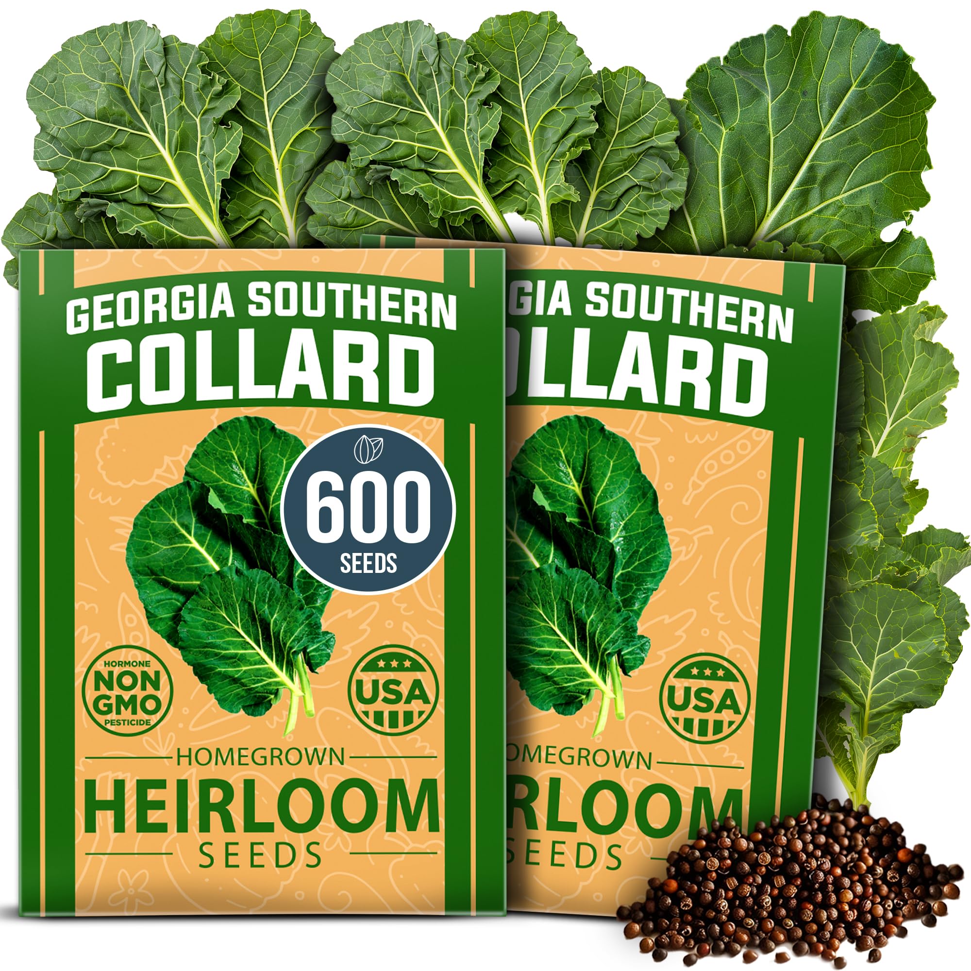 HOME GROWN Georgia Southern Collard Seeds, 600+ Seeds, Brassica oleracea