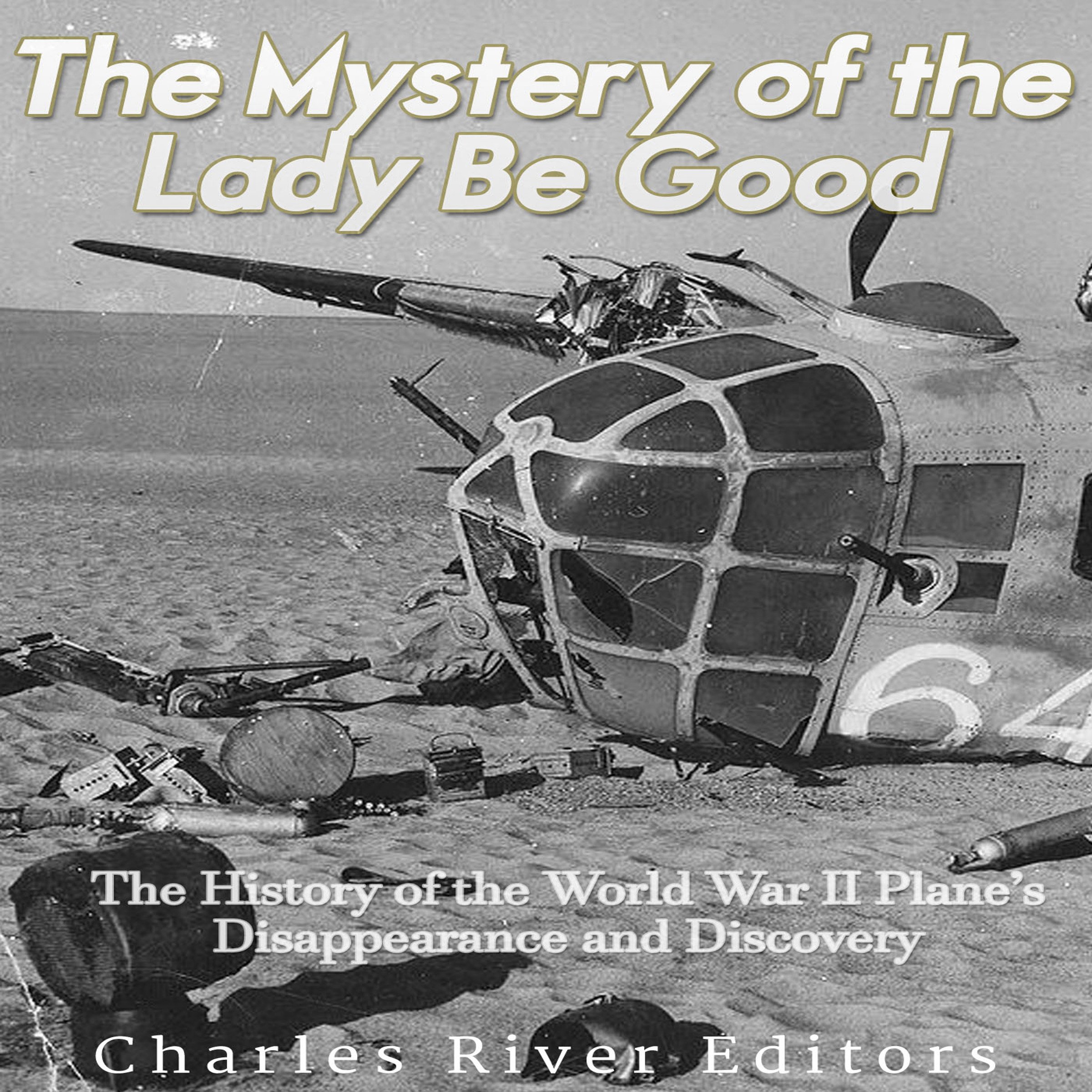 Cover art for The Mystery of the Lady Be Good