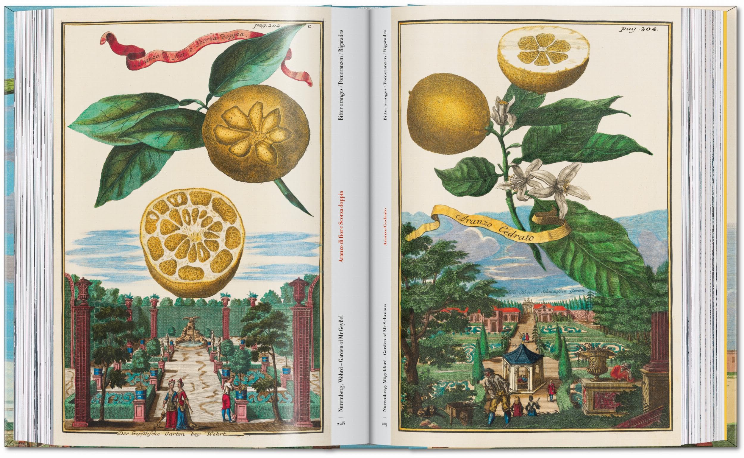 J.C. Volkamer: The Book of Citrus Fruits. 45th Ed.