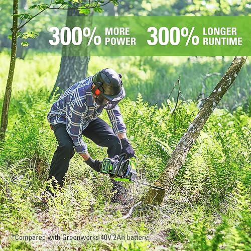 Vista 67 de GreenWorks GREENWORKS 40V 2.0 AH batería de iones de litio 29462