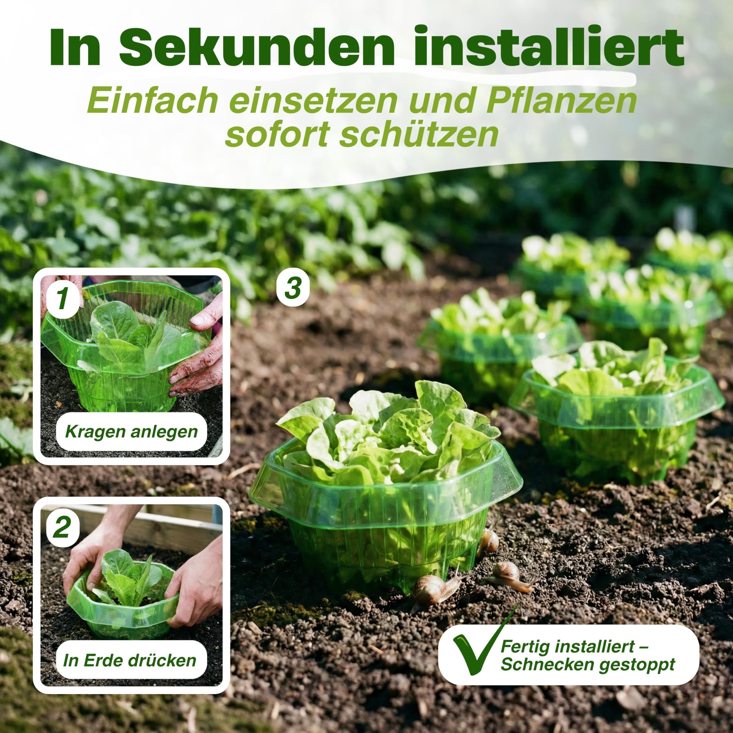 insi Schneckenkragen 12er Set – Stabiler Schneckenkorn für Salat & Kohl – Wiederverwendbarer Schneckenschutz ohne Chemie – Effektive Schneckenabwehr für Pflanzen