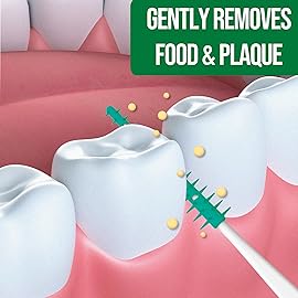 Dr. Emma Original Dental Picks Mint Soft Rubberized Tooth Picks Easy to Use Brush Picks 100Ct/Pack, 2 Packs (200Ct)