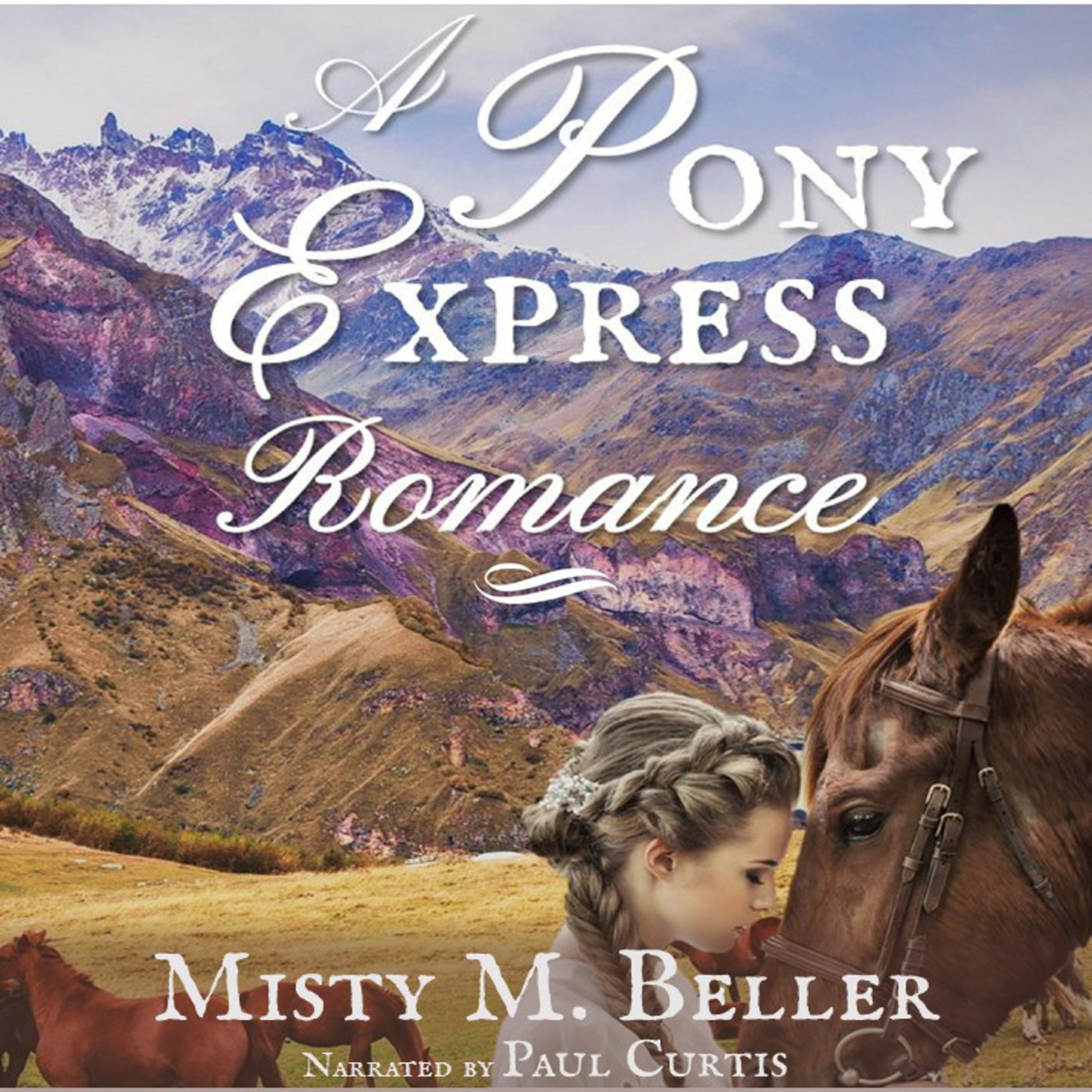 Cover art for A Pony Express Romance