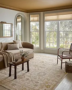 Loloi Magnolia Home by Joanna Gaines Pace Collection PAC-02 Natural/Gold 7'-10" x 10' Area Rug