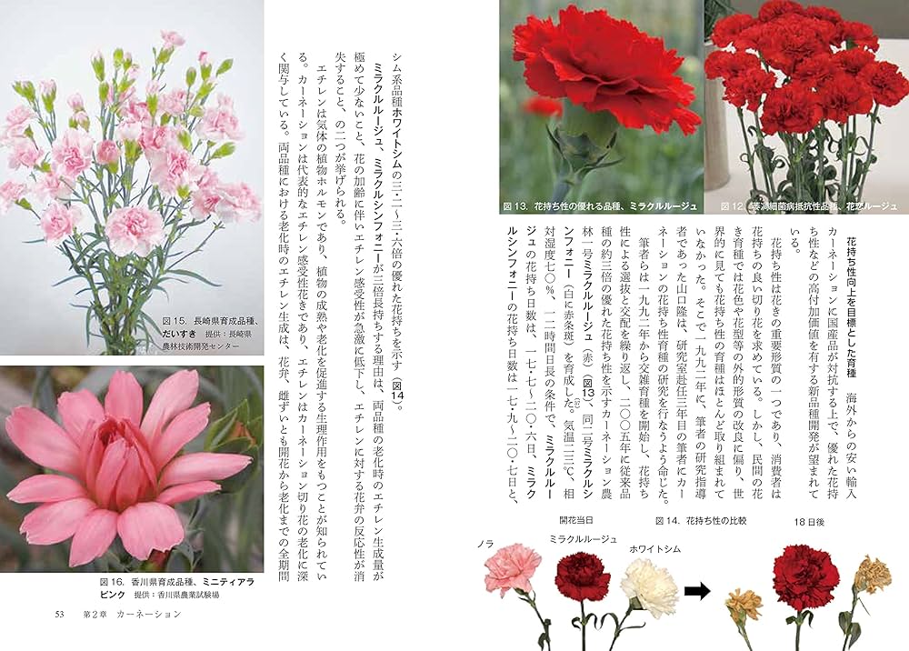 品種改良の日本史　13 品種改良の日本史: 作物と日本人の歴史物語 | 鵜飼 保雄, 大澤