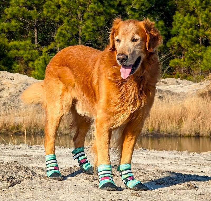 Botas para Cães em Neoprene com Solado de Borracha Antiderrapante e Faixas Refletivas Bark Brite Turquoise Large, Pacote com 4