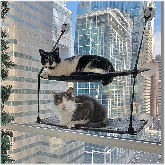Amazon.com : K&H Pet Products EZ Mount Double Stack Cat Window Perch