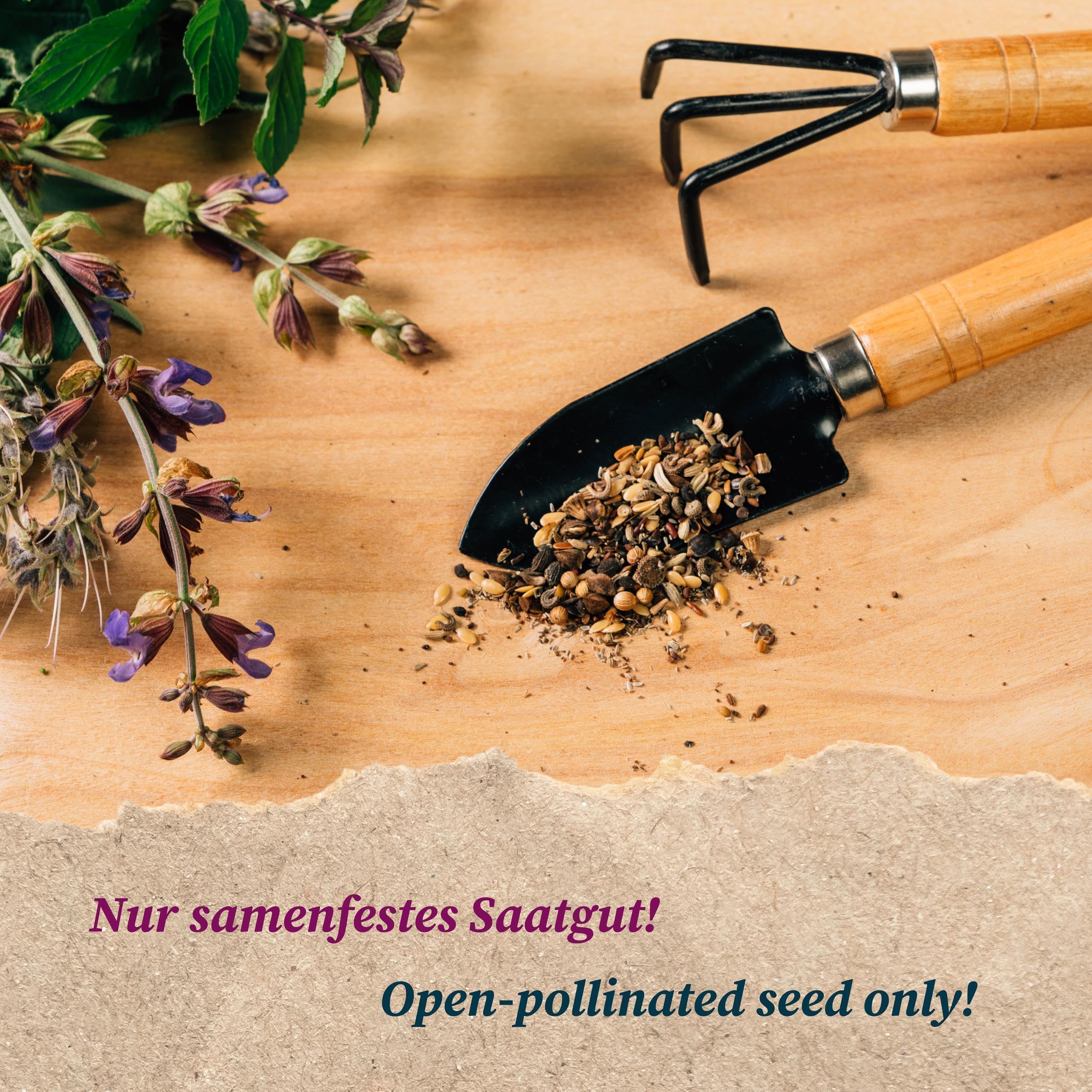 Les légumes sauvages - Coffret cadeau de semences avec 8 espèces plutôt inconnues pour le jardin