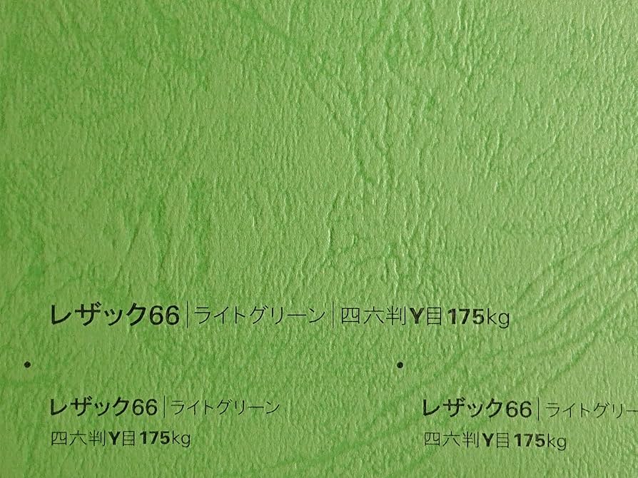 Amazon.co.jp: レザック66 紙 175kg A4サイズ 33枚入り 選べる50色 厚