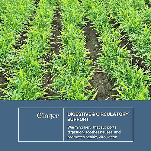 Miniatura 3 de Eclectic Institute Jengibre crudo liofilizado sin OMG Antioxidantes para apoyo cardíaco y salud digestiva 90 CT