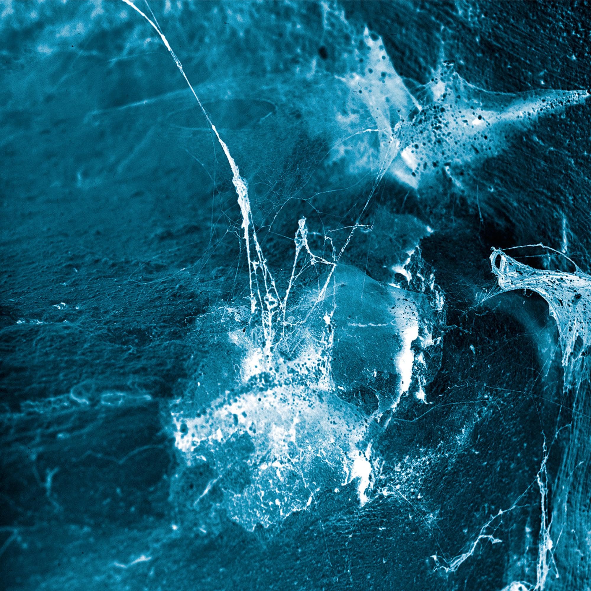 Hvel [VINYL]